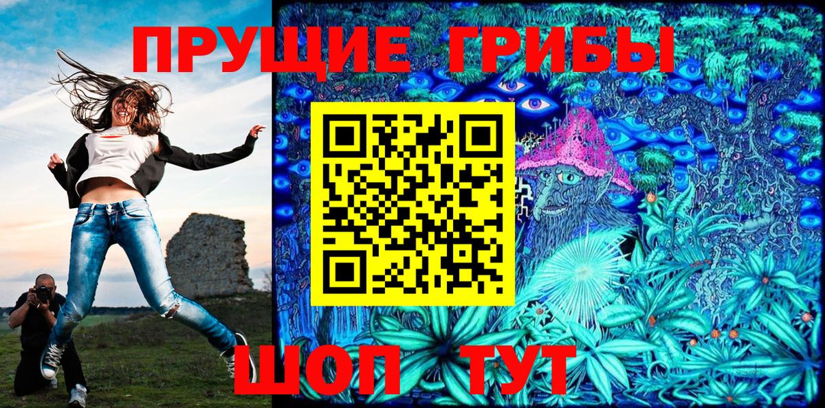 Галлюциногенные грибы Psilocybe Кандалакша